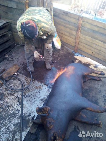 Шикарное домашнее мясо