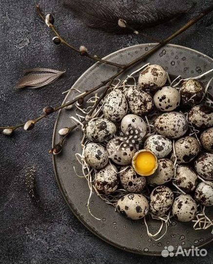 Яйца перепелиные, здоровое питание