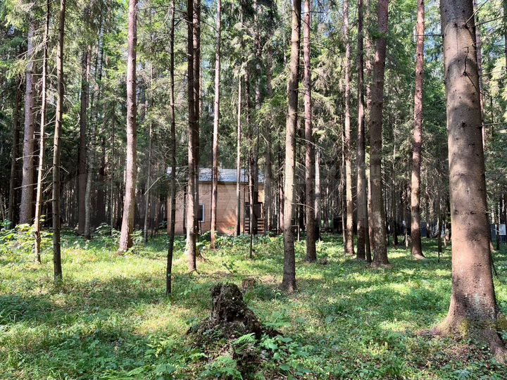 Участок 15,5 сот. (ИЖС)