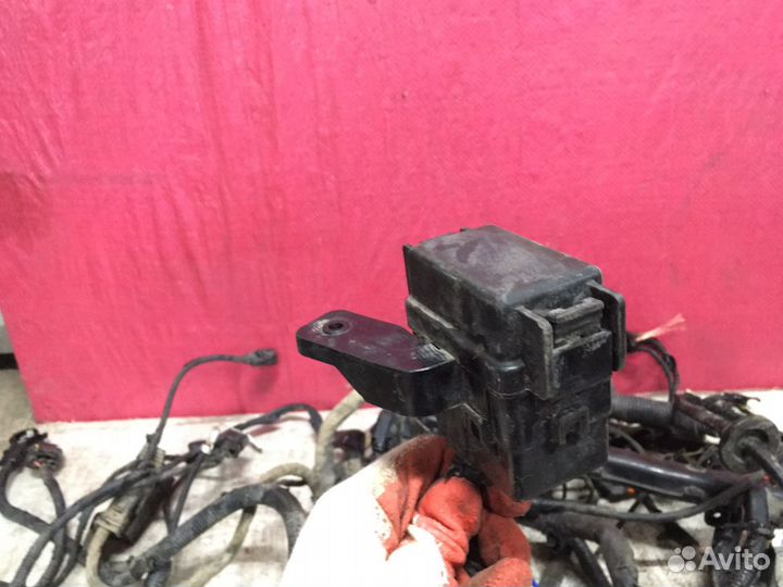 RIO 3 Проводка Мотрная 1.6 МКПП 6ст