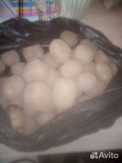 Продам картофель домашний