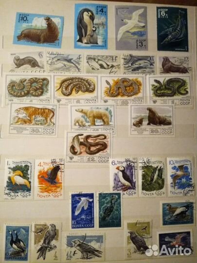 Марки Болгария, Гдр,Польша, Куба, Вьетнам, СССР