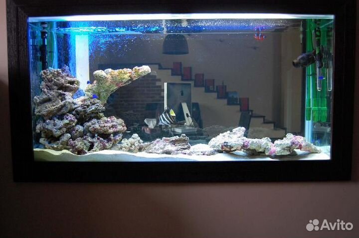 Подбор оборудования и запуск аквариума под ключ