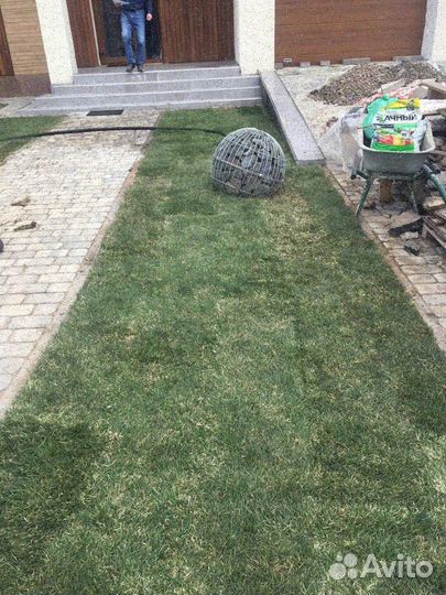 Укладка газона