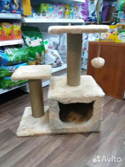 Домик когтеточка для кошки