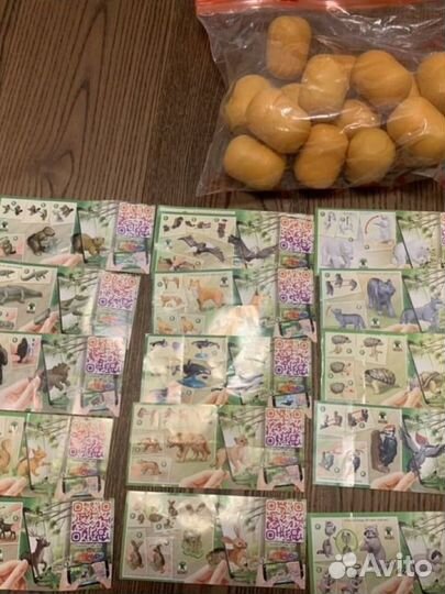 Киндер Животные, полный сет