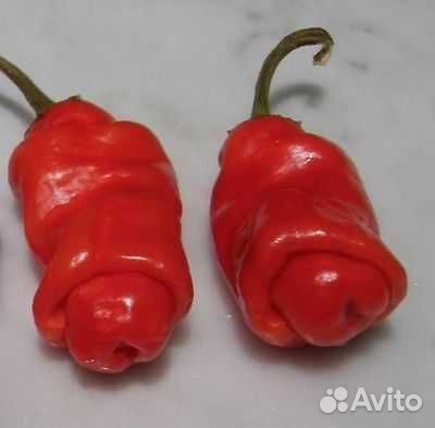 Острый перец Peter Pepper