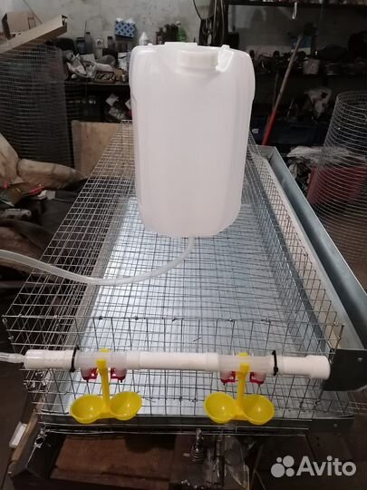 Клетки для перепелов