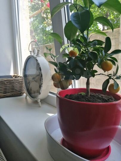 Дом 80 м² на участке 2 сот.