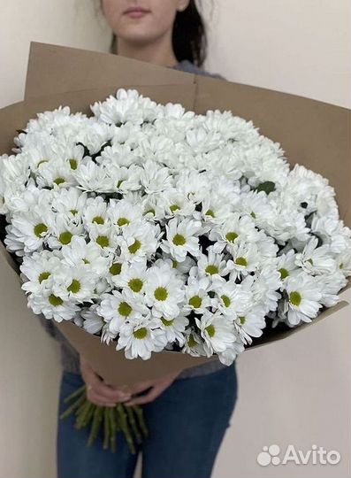 Хризантема Букет хризантем Доставка