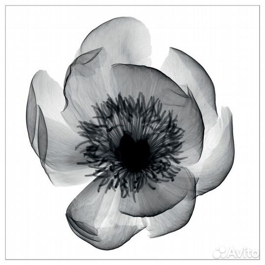 IKEA Постер Картина 