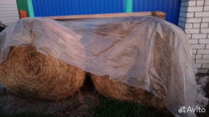 Продажа сена в тюках