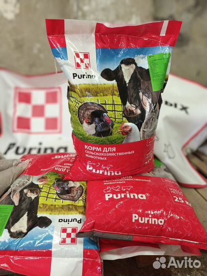 Корм для птиц и животных