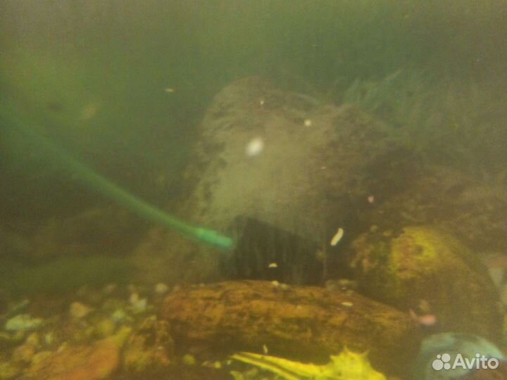 Аквариум с рыбками и тумбой