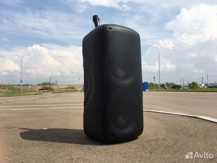 Портативная колонка Eltronic 20-33