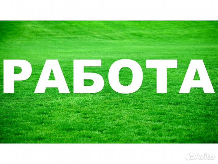 Вахта Подсобный рабочий Выпл. еженед. /Дружный кол