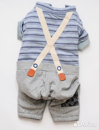 Новый комбинезон для собаки теплый