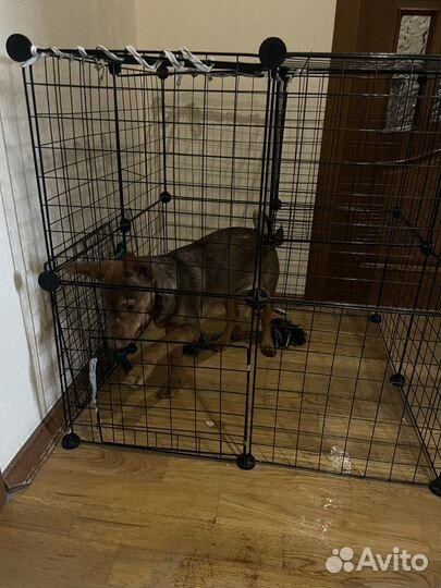 Вольер для собак в квартиру бу