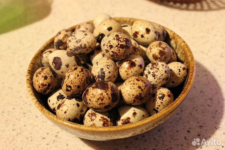 Яйца перепелиные домашние