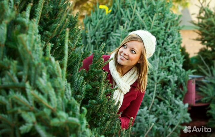 Новогодние ёлки (искусственные)