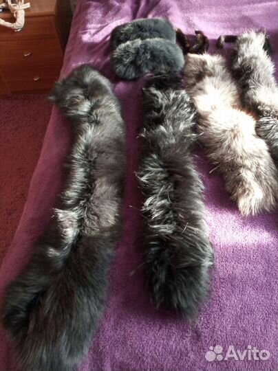 Шкурка животного