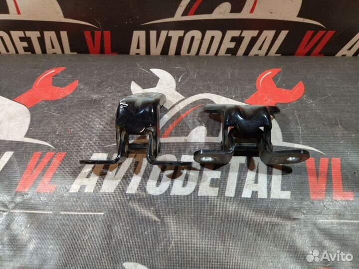 Петли двери задней kia rio 3