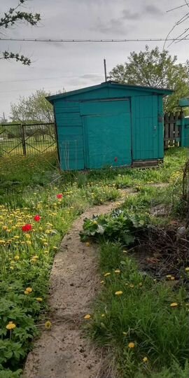 Дом 50,9 м² на участке 15 сот.