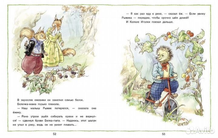 Книга «Лесные истории«, Рене Клок