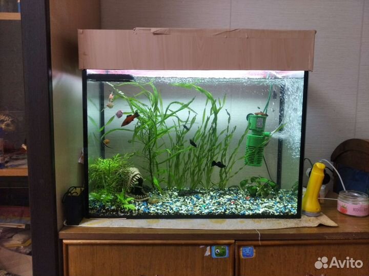 Аквариум