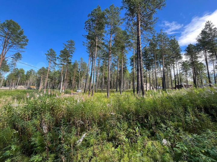 Дом 120 м² на участке 10 сот.