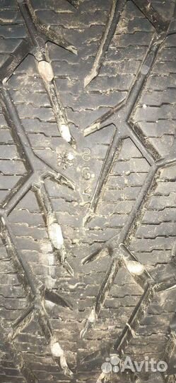 Nokian Tyres Nordman 7 205/65 R16 99T