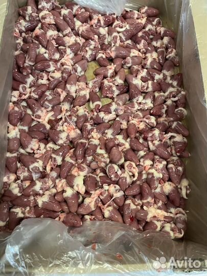 Сердце цыпленка бройлера (замороженные)