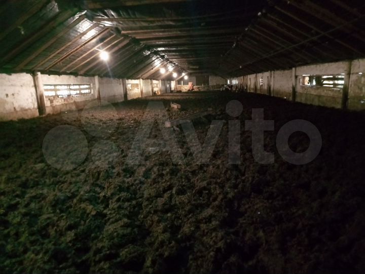 Производство, 1500 м²