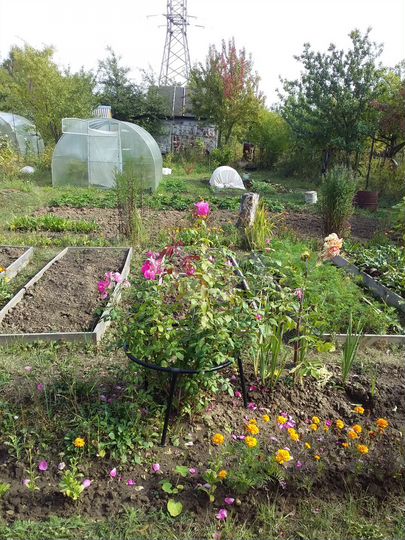 Участок 3,5 сот. (СНТ, ДНП)