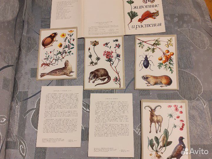 Коллекционные наборы открыток времен СССР