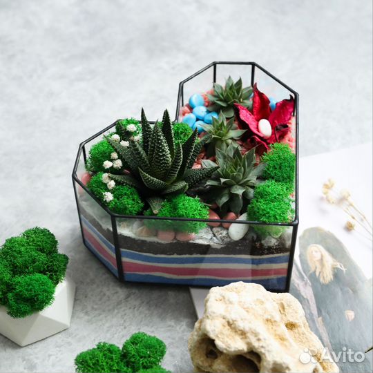 Флорариумы