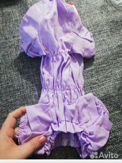 Новые вещи для собаки