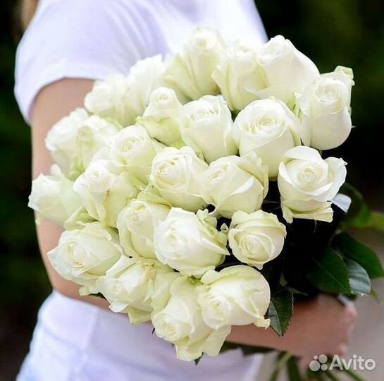 101 роза цветы букеты доставка 25 51 101 роза