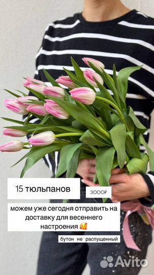 Тюльпаны премиум качество бело-розовый в наличии