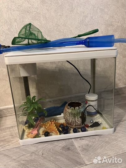 Аквариум