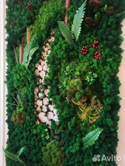 Стабилизированный мох Картины Фитокартины