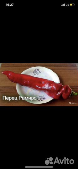 Семена коллекционных перцев