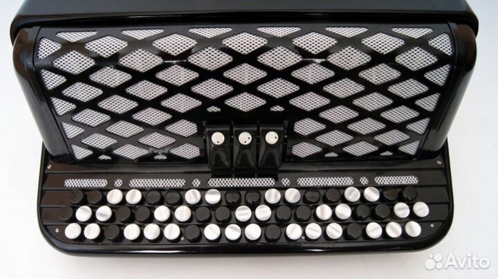 Баян ученический двухголосный BN-39-2 тула - 210