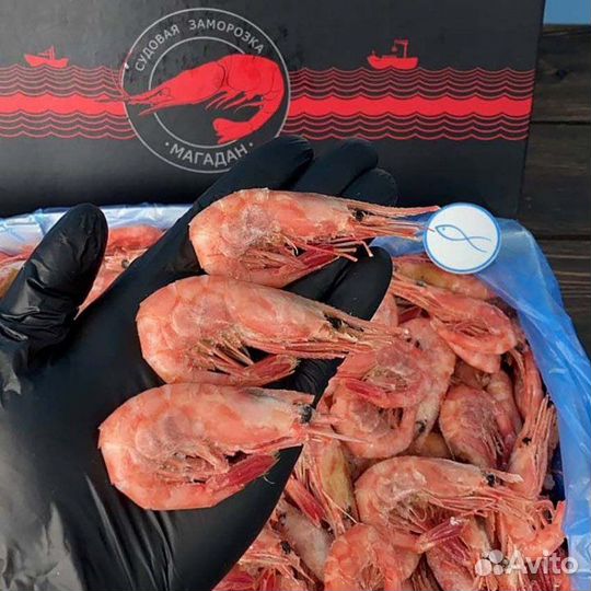 Краб камчатский