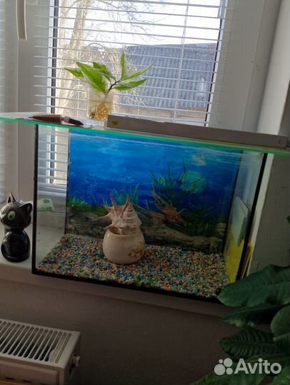 Аквариум 20л