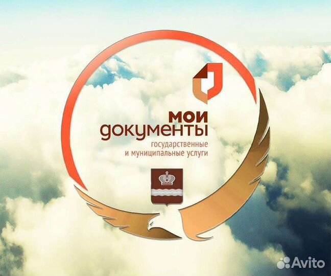 Миграционный специалист,РВП,ВНЖ,Квота, Помощь