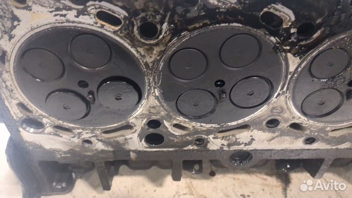 Головка блока (ГБЦ) Ford Transit, 2010