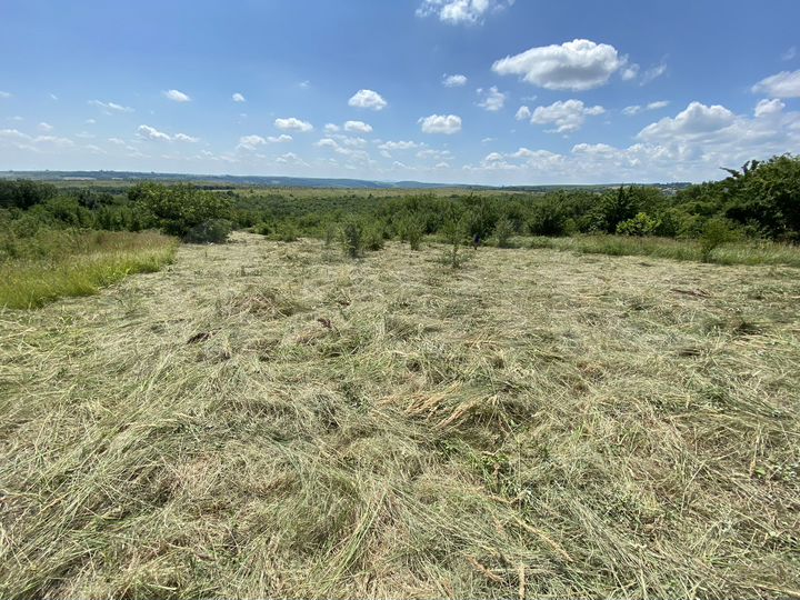 Участок 30 сот. (СНТ, ДНП)