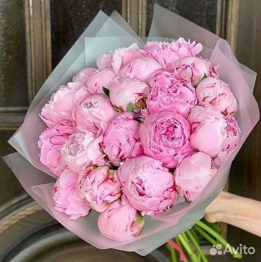 Пионы Цветы Доставка