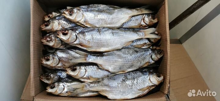 Вобла от астраханцев в Москве